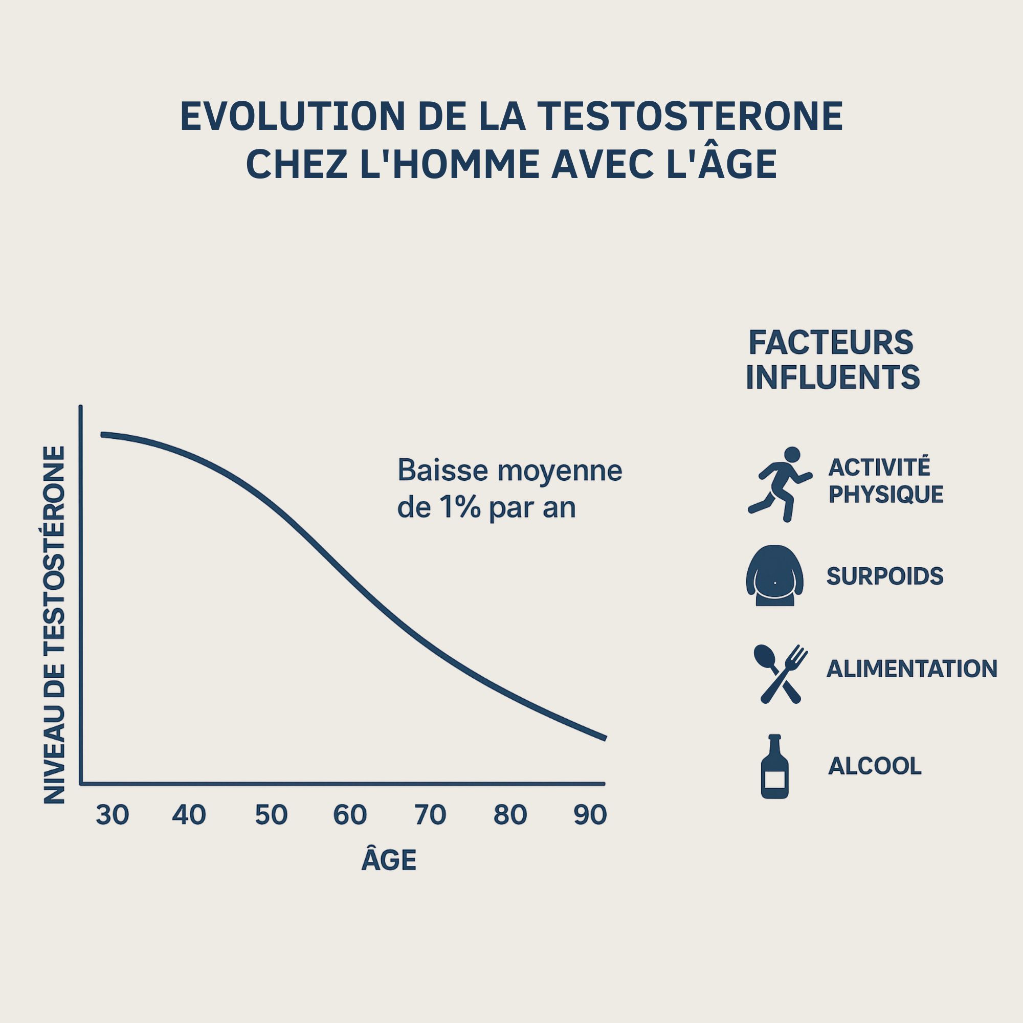Andropause testostérone évolution