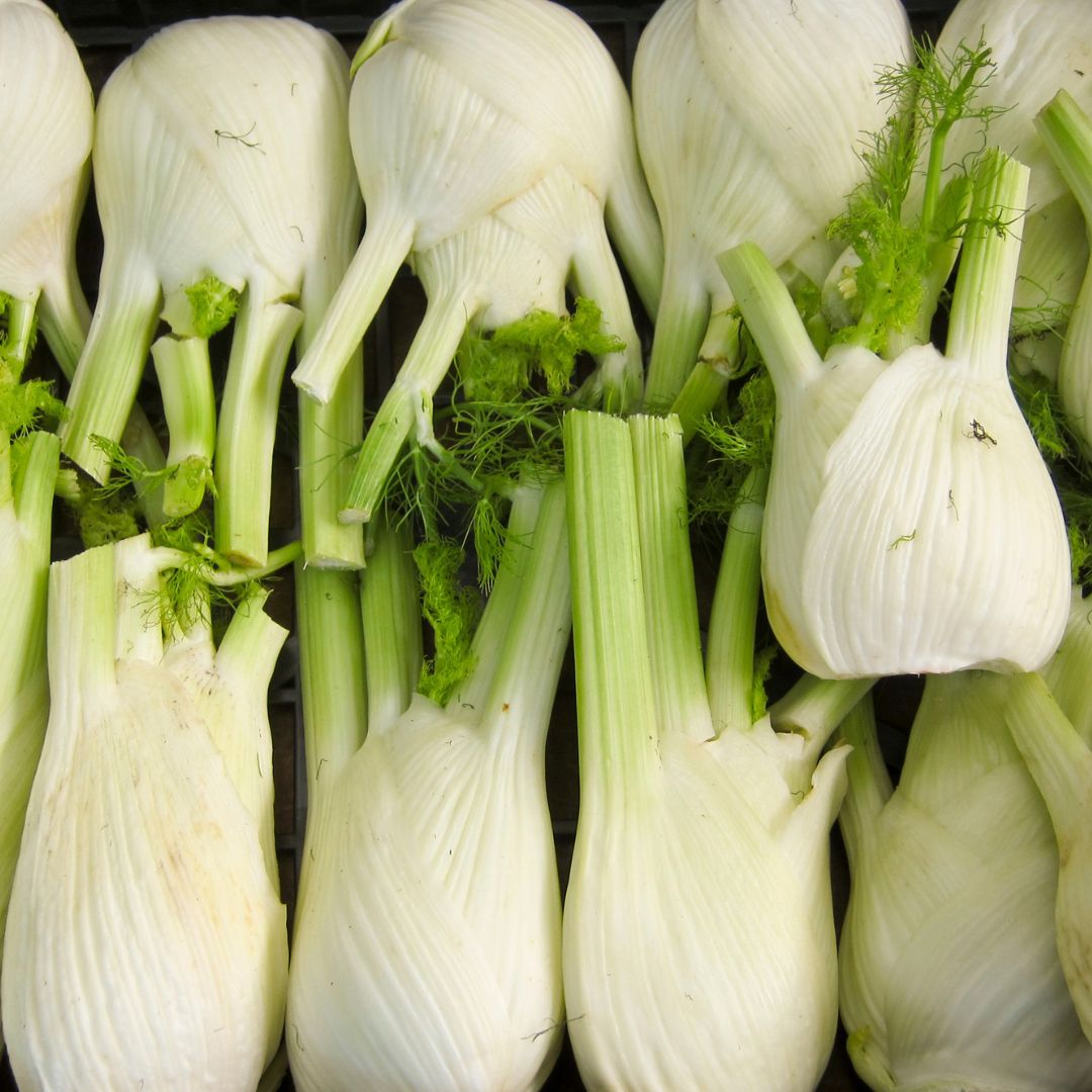 complément alimentaire fenouil